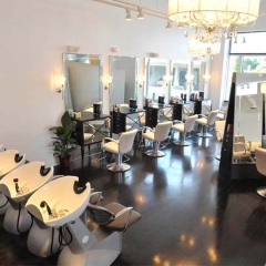 salon2-Copy