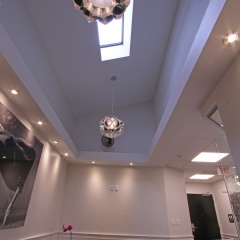 Dr.-Jacobson-5-Lobby-Skylight